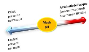La "guerra" tra bicarbonati, fosfati e Calcio determina il pH del mash