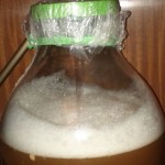 Damigiana fermentatore