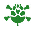teschio-ICON