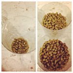 Brulosophy Hops