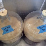 Brulosophy fermentazione