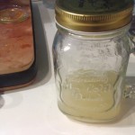Lactobacillus Planctarum reidratazione