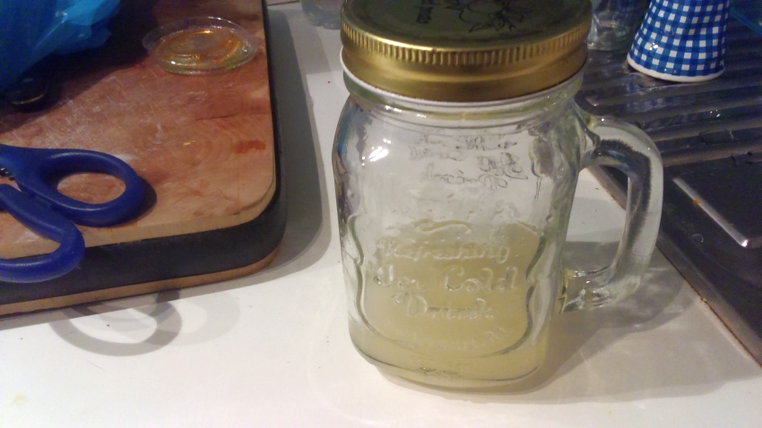 Lactobacillus Planctarum reidratazione