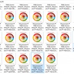 Weyermann Flavour Wheel – All