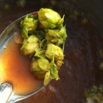 Hop replacement Janish