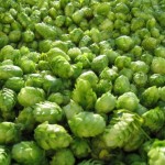 FEAT – Hops tips & tricks