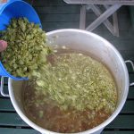 hops boil