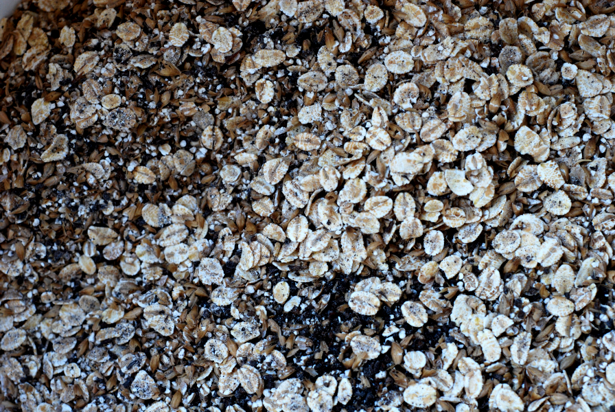Fiocchi di grano