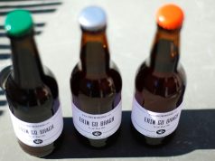 Erin Go Bragh / Irish Red Ale Erin Go Bragh Ricetta Irish Red Ale