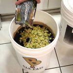 dry hopping