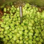 FEAT – Come scegliere luppoli 2