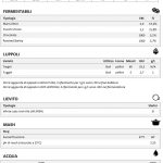 Roight Irish Stout ricetta