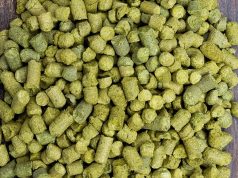 Le biotrasformazioni stimolate dalla fermentazione