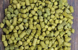 Le biotrasformazioni stimolate dalla fermentazione