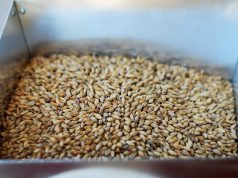 Nuova stagione, nuove cotte! si ricomincia set 2018