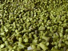 NEIPA: scavando nel torbido (Parte II)