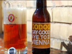 Say Goodbye To Vienna / Godog / Vienna
