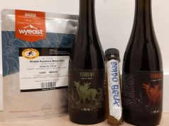 Produrre in casa una Flanders Red Ale