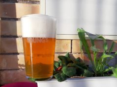 Out To Please / American Pale Ale