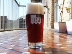 Voss Amber Ale / Kveik Amber Ale