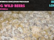 Giudicare le birre “Wild”