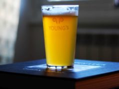 Zappa & Triumph / American IPA