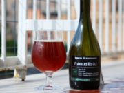 Com’è la mia Flanders Red Ale a un anno dalla cotta