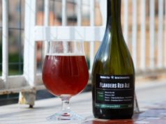 Com’è la mia Flanders Red Ale a un anno dalla cotta