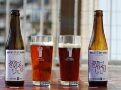 Irish Red Ale: due ricette a confronto