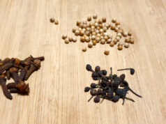 Fenoli, spezie e l’aroma delle Witbier/Blanche