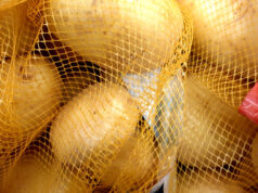 Da dove viene l’aroma di patata bollita nella birra?