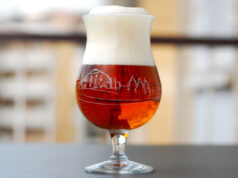 Antwerpen / Belgian Pale Ale con lievito BE-256