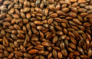 Gestire astringenza, attenuazione e bilanciamento nelle birre scure