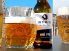 A che punto sono con le mie Czech Pils (parte seconda)