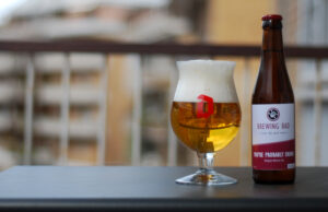 Your’re probably drunk / Belgian Blond Ale