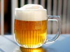 Nový Pivo (v4) / Czech Pils con W34-70 e S23