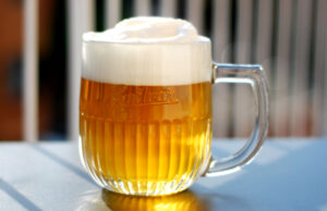 Nový Pivo (v4) / Czech Pils con W34-70 e S23