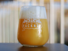 NEIPA: scavando nel torbido (Parte I)