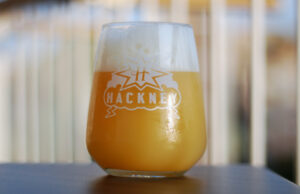 NEIPA: scavando nel torbido (Parte I)