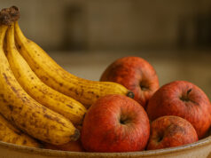 Birra e maturazione: esteri, fenoli, alcol