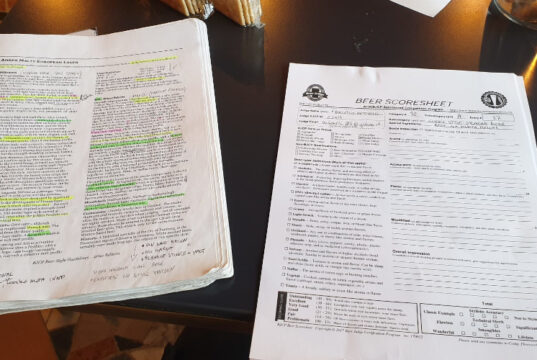 Il giudice non è una macchina imparziale (ma va’?)