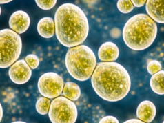 L’illusione del ceppo di lievito perfetto