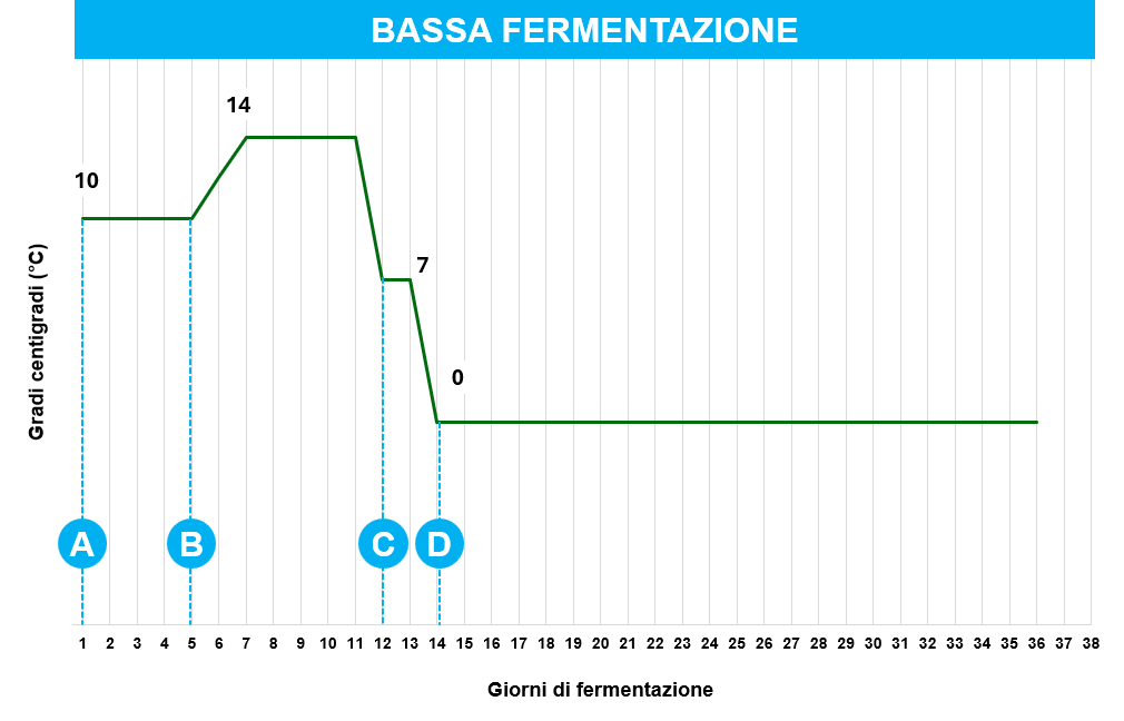 Guida alla fermentazione -Profilo Bassa Fermentazione -Temperature