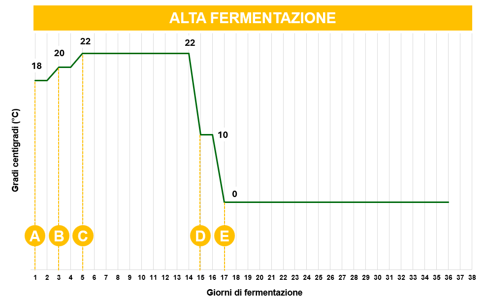 Profilo di temperatura per alta fermentazione: 18-22 °C nei primi 5 giorni, cold crash a 0 °C dal giorno 17