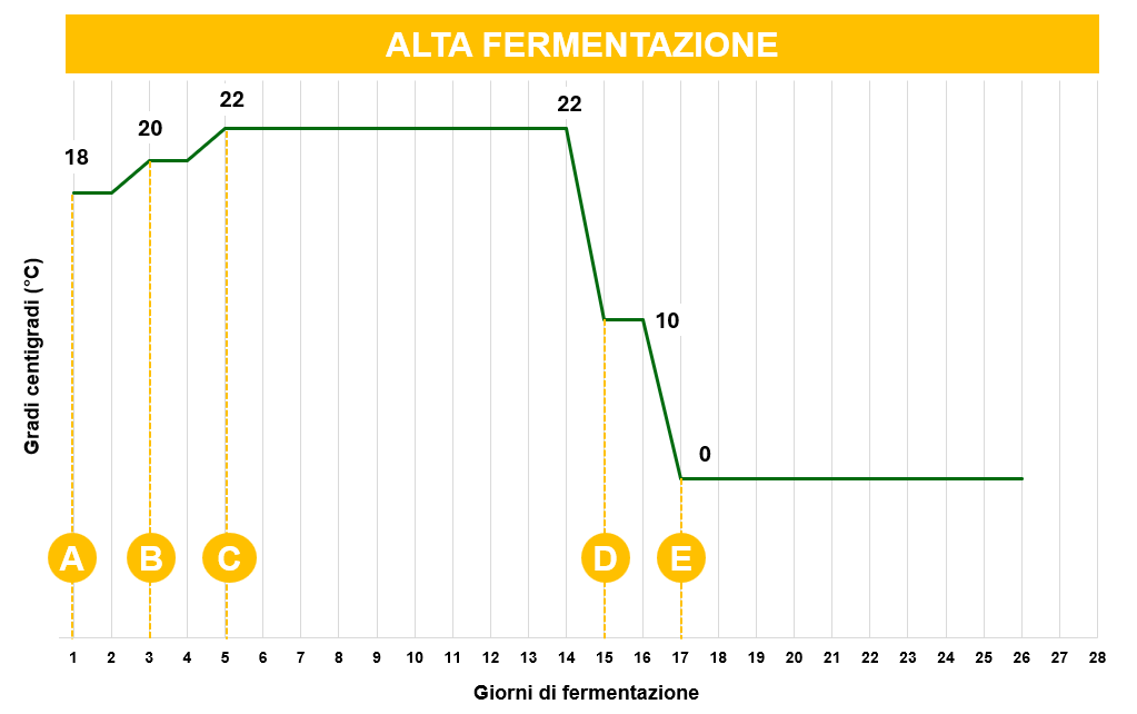 Profilo di temperatura per alta fermentazione: 18-22 °C nei primi 5 giorni, cold crash a 0 °C dal giorno 17