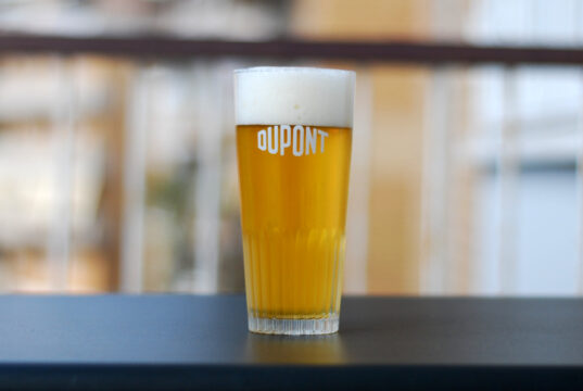 Little Death / Saison con lievito MJ M29 Saison con M29